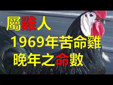 86年次生肖屬什麼|86年生肖小百科